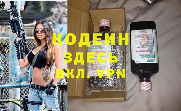 шишки Алзамай