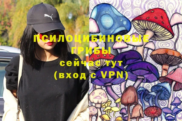 дмт Арсеньев