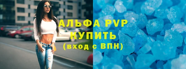 шишки Алзамай