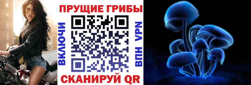 Псилоцибиновые грибы мицелий  где купить наркотик  KRAKEN ТОР  Киреевск 